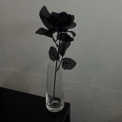 2026超好看的背景图片头像