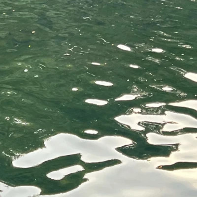 2026超好看的背景图片头像