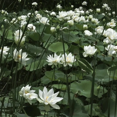 朋友圈背景图片2026新款高清头像