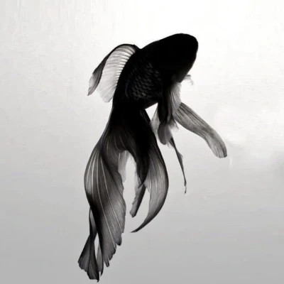 朋友圈背景图片2026新款高清头像