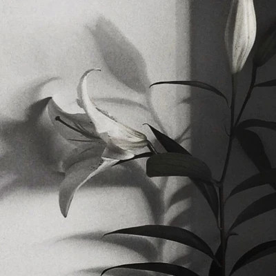 朋友圈背景图片2026新款高清头像