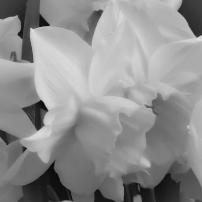 朋友圈背景图片2026新款高清头像