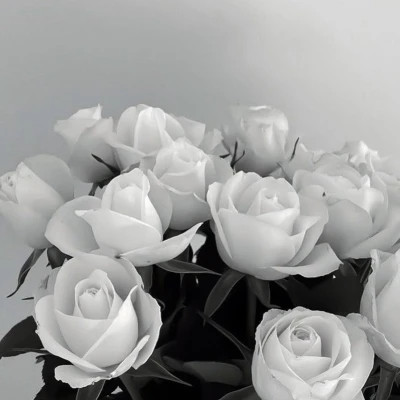 朋友圈背景图片2026新款高清头像