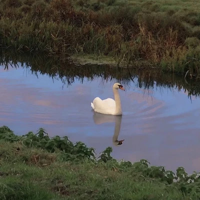 2026年最火背景图片头像