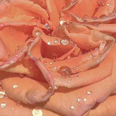 2026年最火背景图片头像