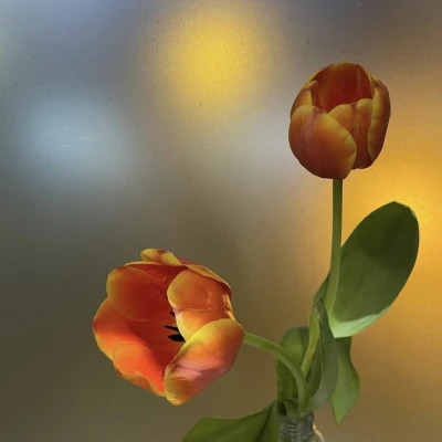 2026年最火背景图片头像