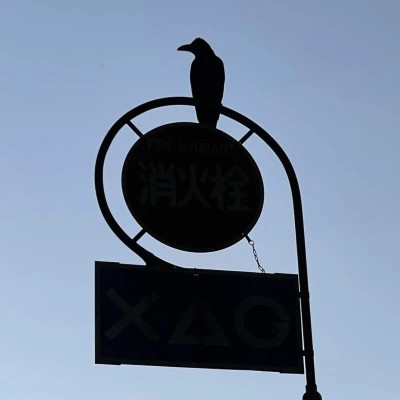 2026年最火背景图片头像