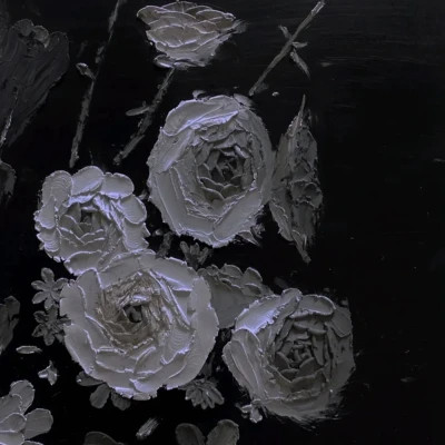 2026年最火背景图片头像