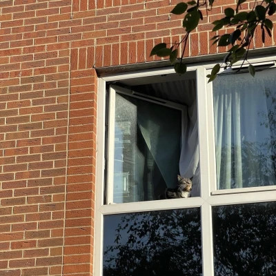 2026年最火背景图片头像