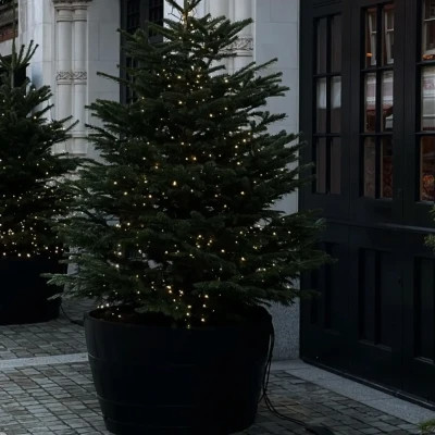 2026年最火背景图片头像