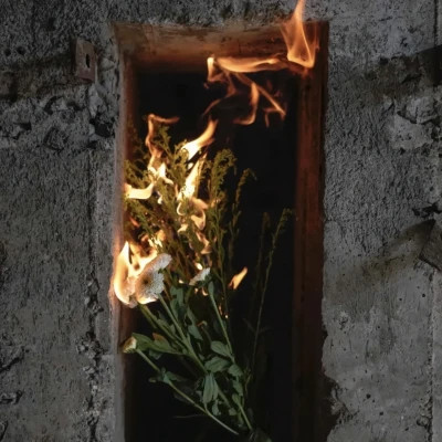 2026年最火背景图片头像