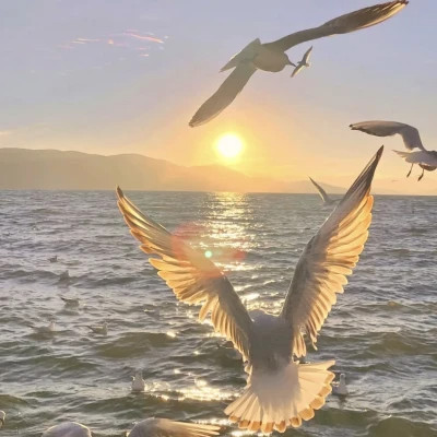 2026年最火背景图片头像