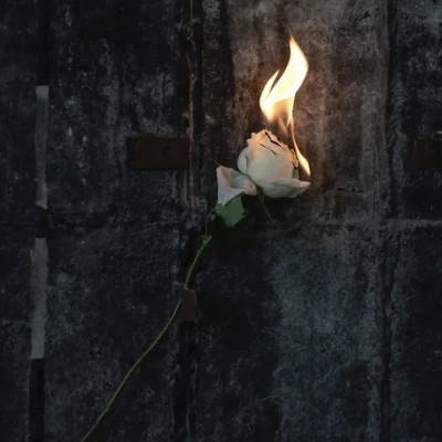 2026年最火背景图片头像