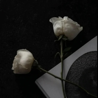 2026年最火背景图片头像