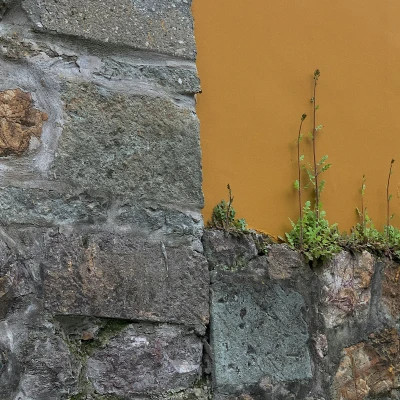 2026年最火背景图片头像