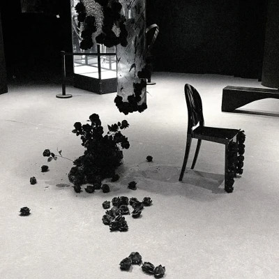 2026年最火背景图片头像