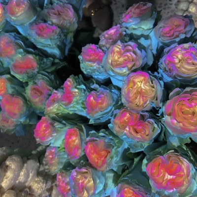 2026年最火背景图片头像