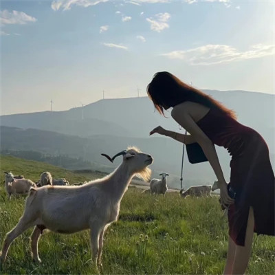 女生头像高级质感冷艳气质图片