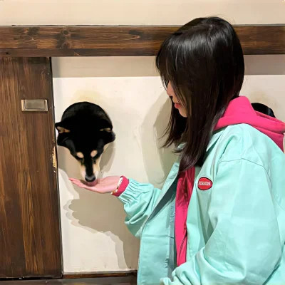 不同风格女头