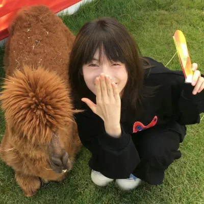 不同风格女头