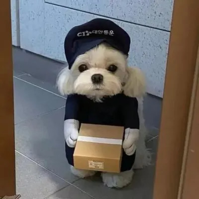 搞怪头像图片最火爆2025