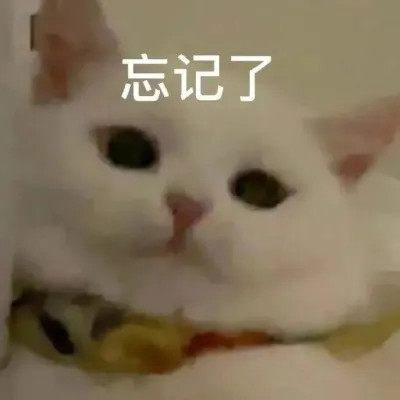 2025最近很火的表情包头像