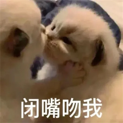 2025最近很火的表情包头像