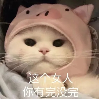 2025最近很火的表情包头像