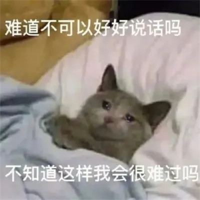 2025年搞笑表情包头像图片