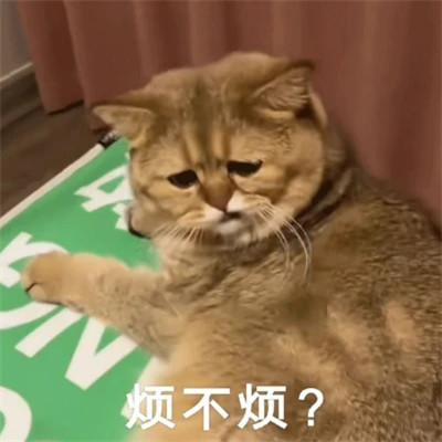 微信表情包头像可爱搞笑