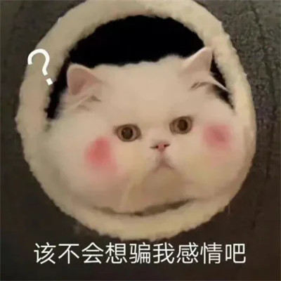 微信表情包头像可爱搞笑