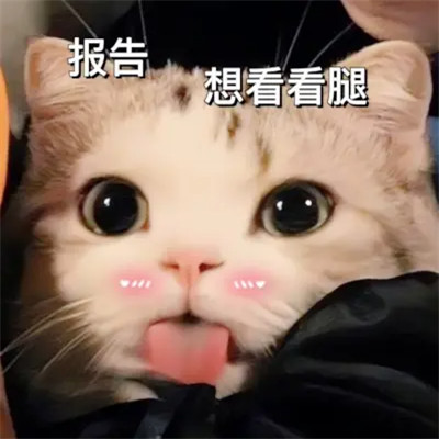 微信表情包头像可爱搞笑