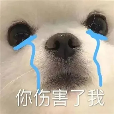 微信表情包头像可爱搞笑