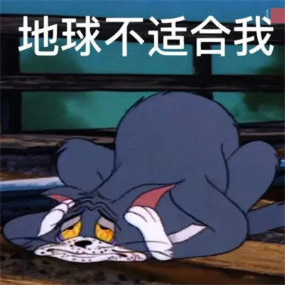 微信表情包头像可爱搞笑