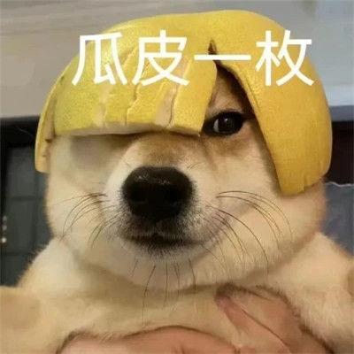 值得收藏超好看的表情包头像图片