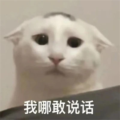 值得收藏超好看的表情包头像图片