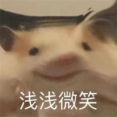 值得收藏超好看的表情包头像图片