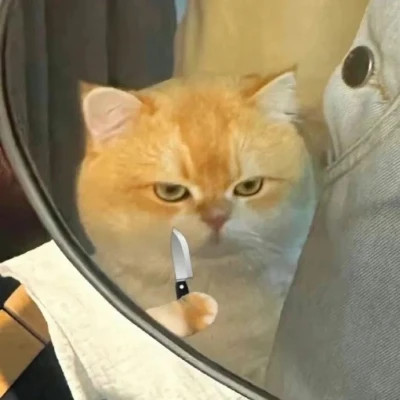 值得收藏超好看的表情包头像图片
