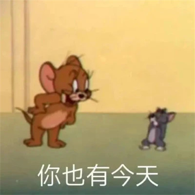 绝绝子超好看的表情包头像