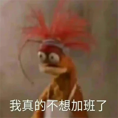 绝绝子超好看的表情包头像