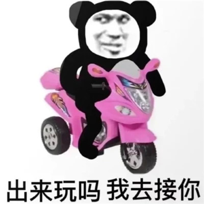 绝绝子超好看的表情包头像