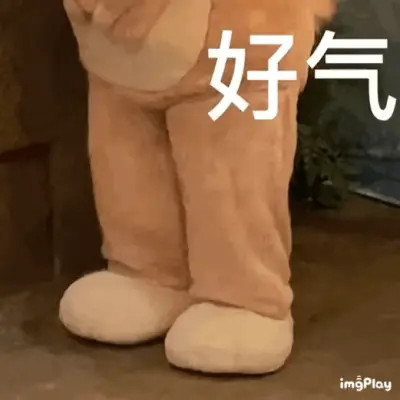 绝绝子超好看的表情包头像