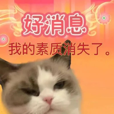 绝绝子超好看的表情包头像