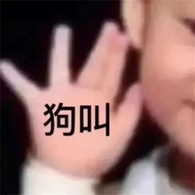 绝绝子超好看的表情包头像