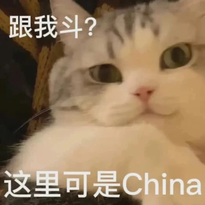可爱搞笑表情头像