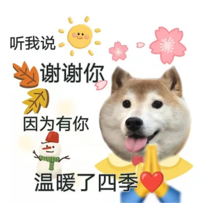 可爱搞笑表情头像