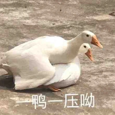 表情包头像沙雕搞笑图片