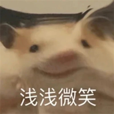 表情包头像沙雕搞笑图片