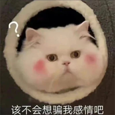 表情包头像沙雕搞笑图片