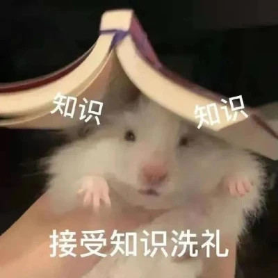 搞笑表情包头像图片